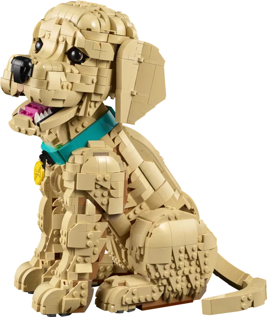 11384 Щенок золотистого ретривера