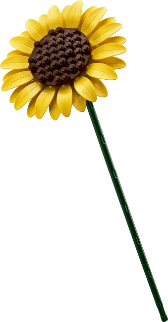 11502 Päevalillekimp