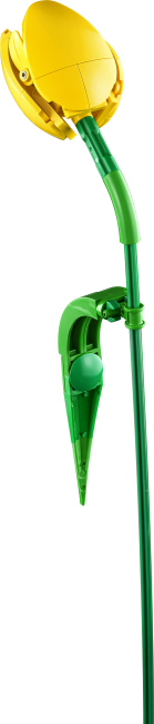 11501 Tulppaanikimppu