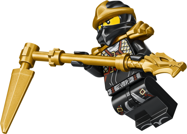 71866 Ninjategelaste väljapanek, 15. aastapäev