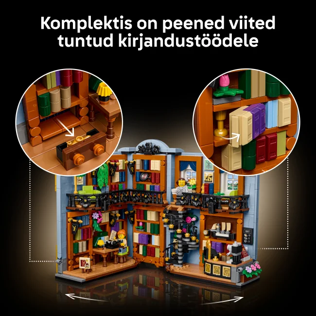 11379 Raamatupood: Raamatutugi