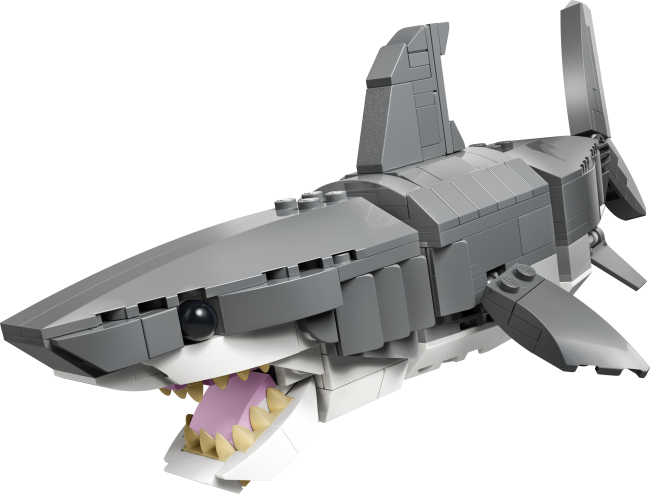 31381 Raevukas hai aardekirstuga