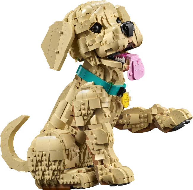 11384 Щенок золотистого ретривера