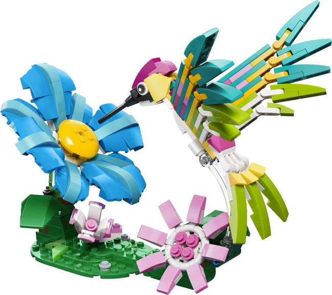 31384 Metsloomad: Värviline koolibri