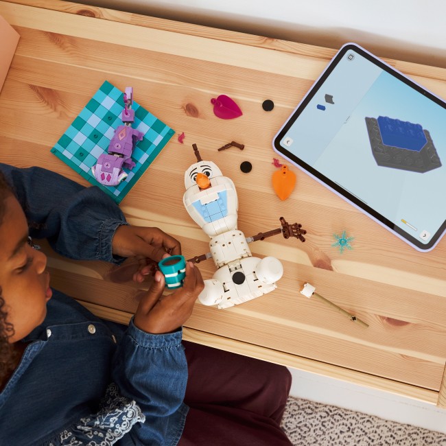 43287 Olafin ja Brunin hauska eväsretki