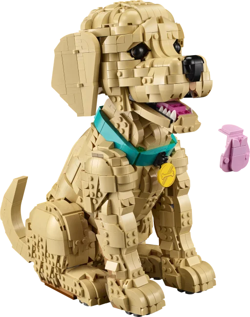 11384 Щенок золотистого ретривера