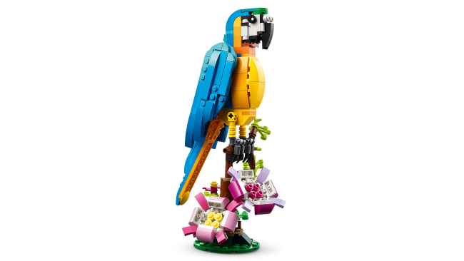 31136 Eksootiline papagoi
