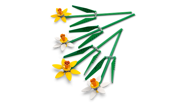 40747 Nartsissid