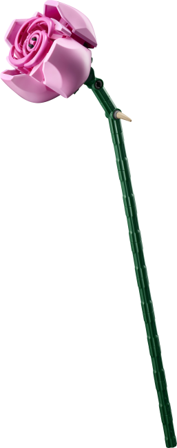 10374 Rozā rožu pušķis