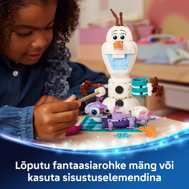 43287 Olafin ja Brunin hauska eväsretki