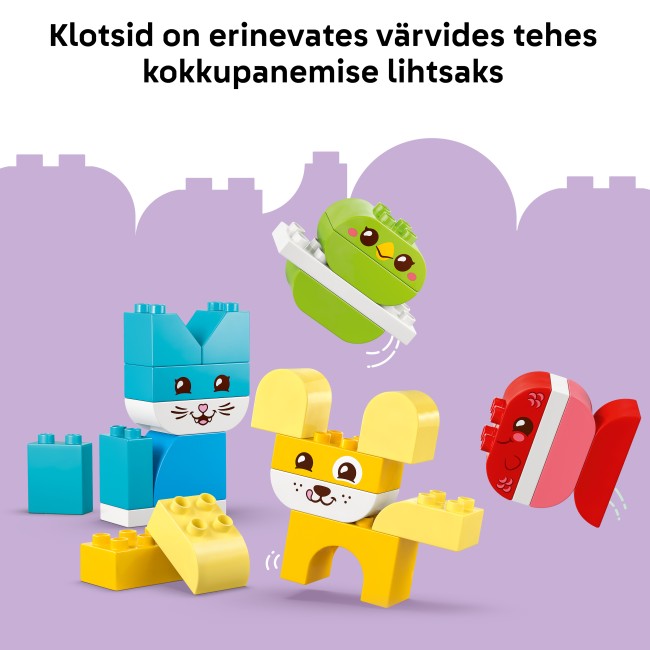 10477 Kolm ühes loomingulised armsad lemmikloomad