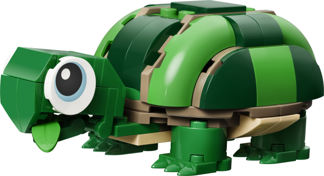 31377 Kilpkonn vesiroosiga