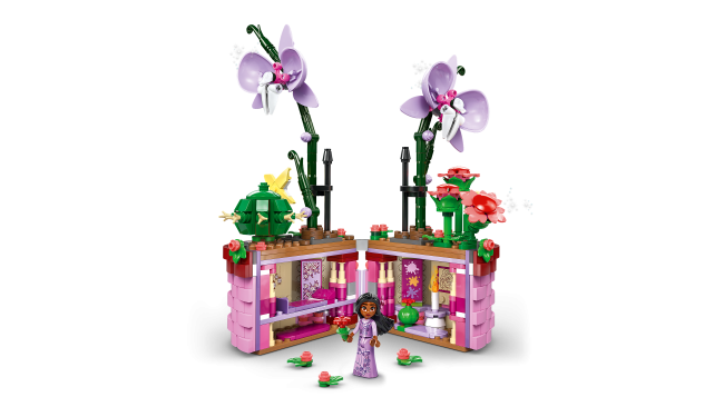 43237 Isabela lillepott