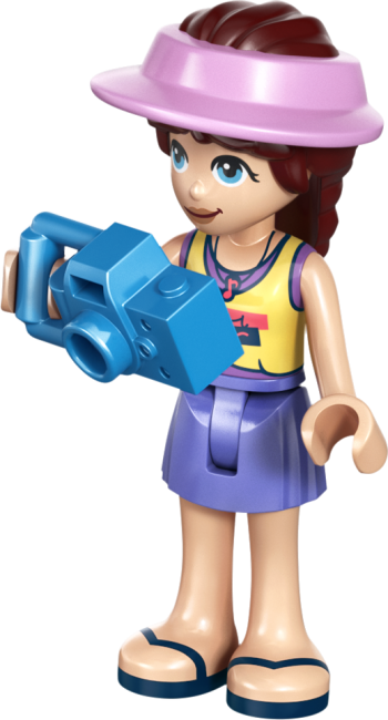 42699 Rantahuvila ja hylkeet