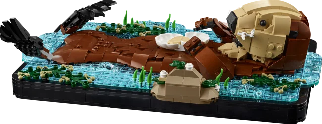 21366 Ujuvad merisaarmad