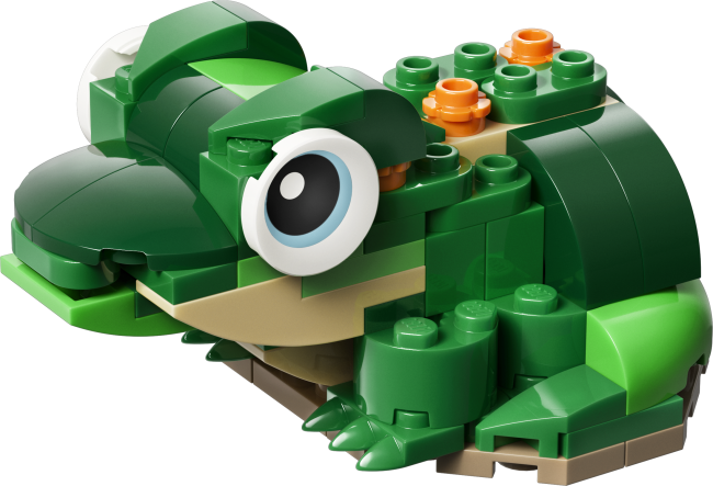 31377 Kilpkonn vesiroosiga