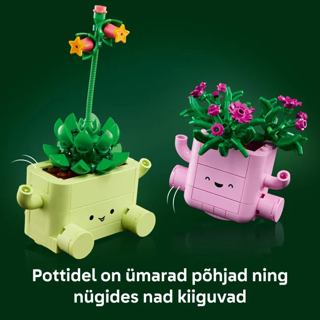 11506 Kiikuvad taimed