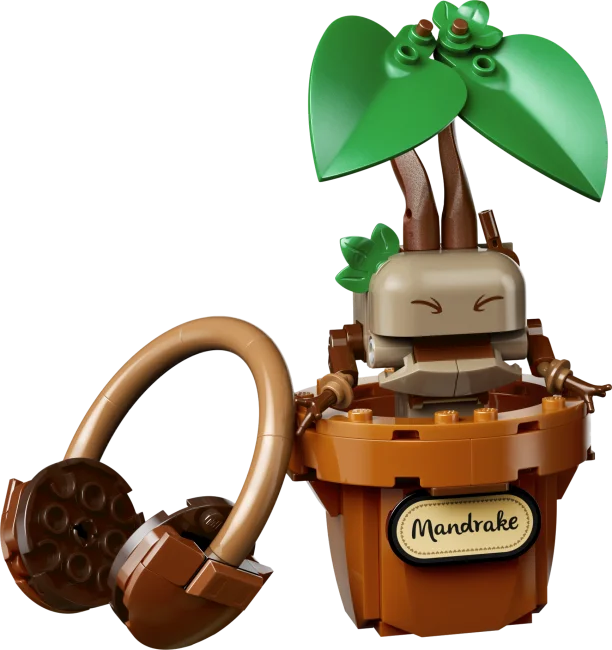 76474 Sigatüüka™ taimed