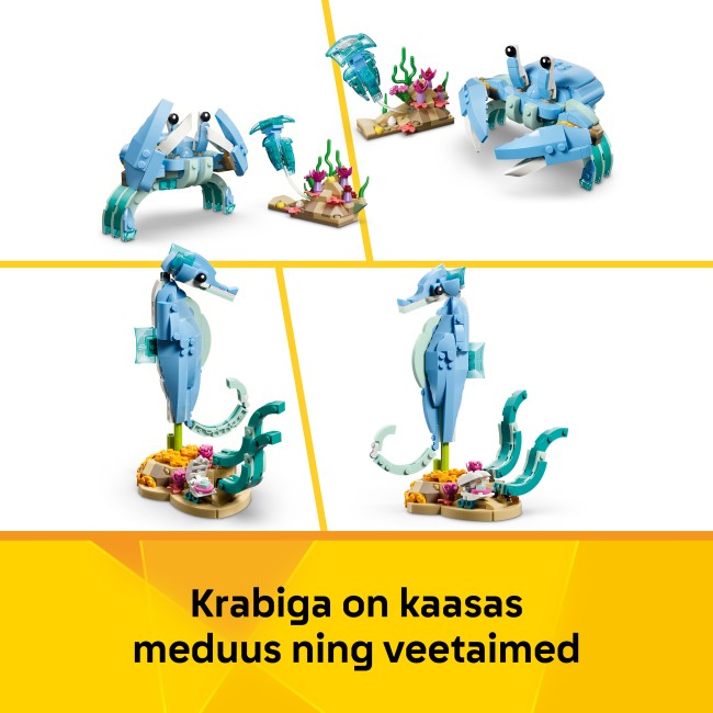 31385 Mereloomad: ilusad delfiinid