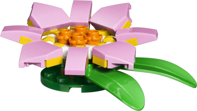 31377 Kilpkonn vesiroosiga