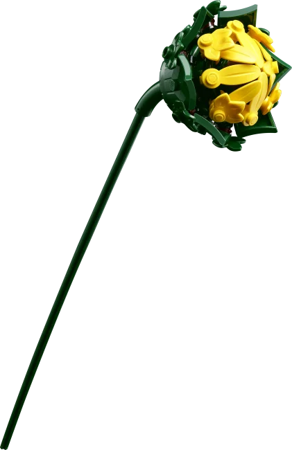 11502 Päevalillekimp