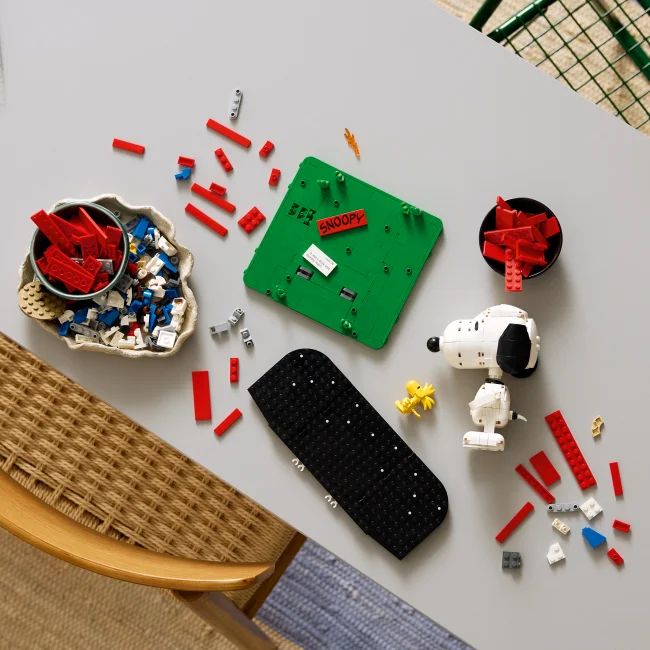 21368 Tobukesed: Snoopy koerakuut