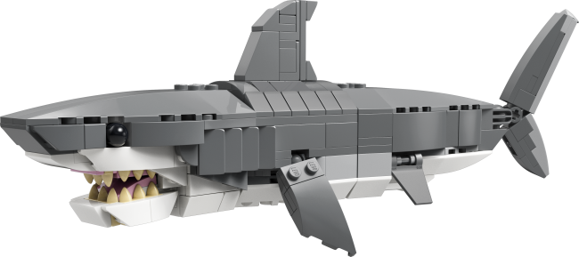 31381 Raevukas hai aardekirstuga