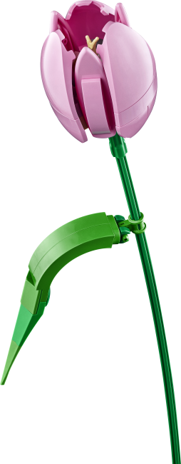 11501 Tulppaanikimppu