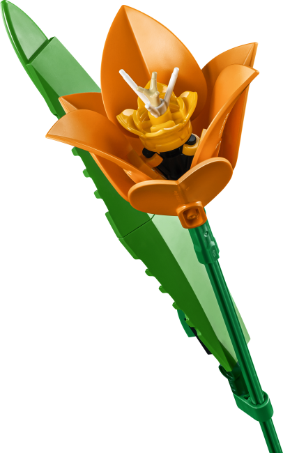 11501 Tulppaanikimppu