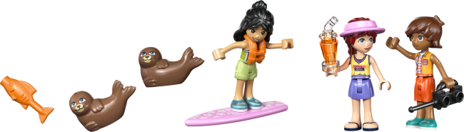 42699 Rantahuvila ja hylkeet