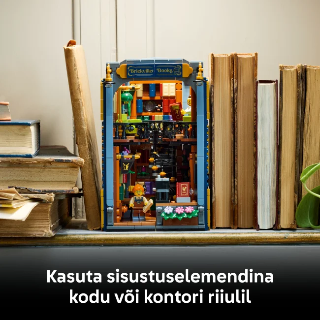 11379 Raamatupood: Raamatutugi