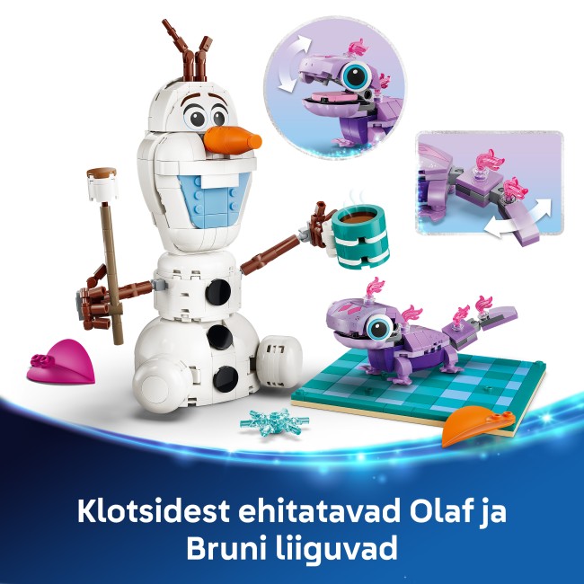 43287 Olafin ja Brunin hauska eväsretki
