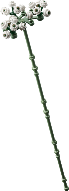 10374 Rozā rožu pušķis