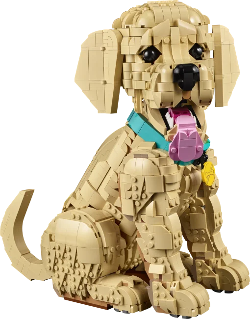 11384 Щенок золотистого ретривера