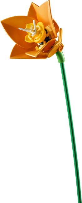 11501 Tulppaanikimppu