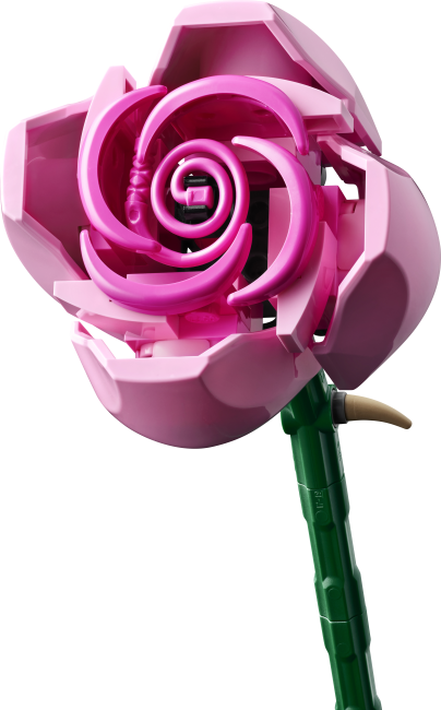 10374 Rozā rožu pušķis