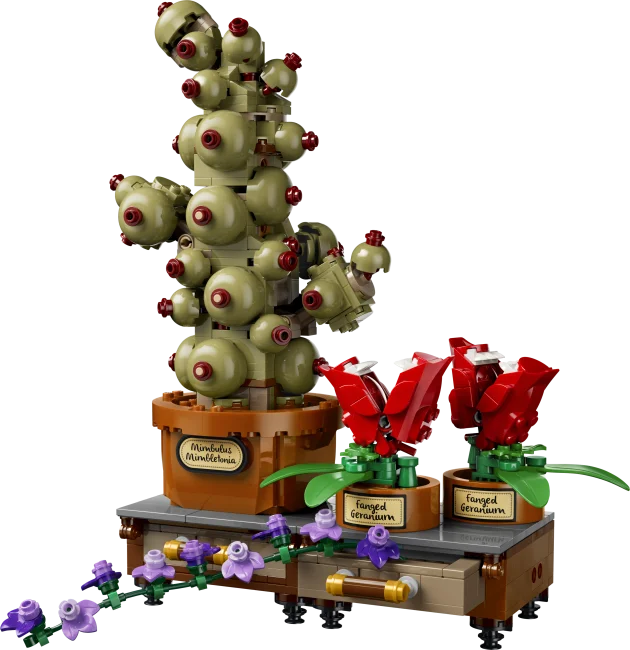 76474 Sigatüüka™ taimed