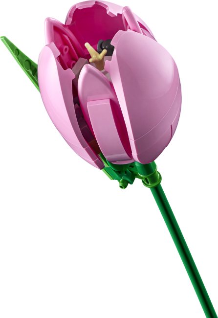 11501 Tulppaanikimppu