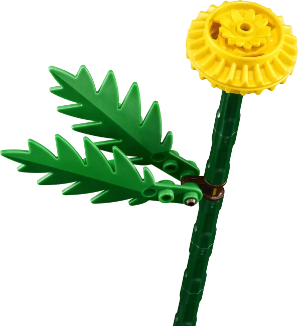 30701 Lauku ziedi