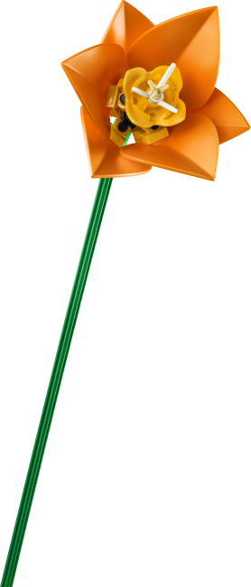 11501 Tulppaanikimppu