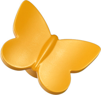 42699 Rantahuvila ja hylkeet