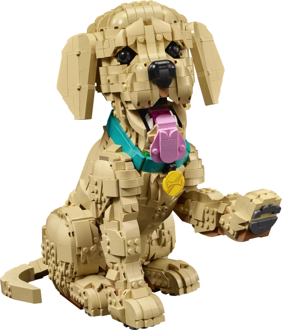 11384 Щенок золотистого ретривера