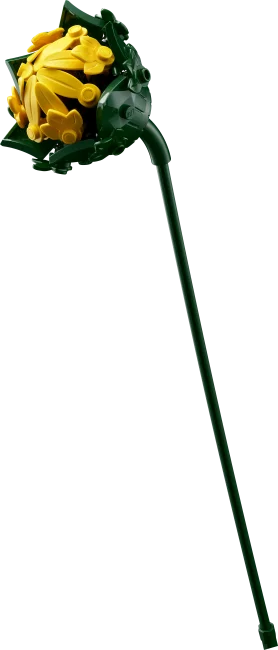 11502 Päevalillekimp