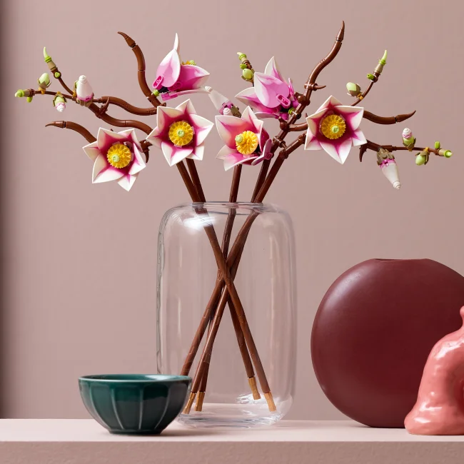 11510 Magnolijas zariņi