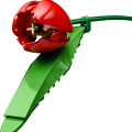 11501 LEGO Botanicals Tulppaanikimppu