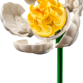10347 LEGO Botanicals Mazā saulainā buķete