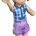 42703 LEGO  Friends Merineitsi Ameerika mäed