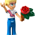 42671 LEGO  Friends Кафе с растениями и цветочный магазин