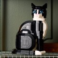 21349 LEGO  Ideas Черно-белый кот