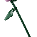 10374 LEGO Botanicals Rozā rožu pušķis